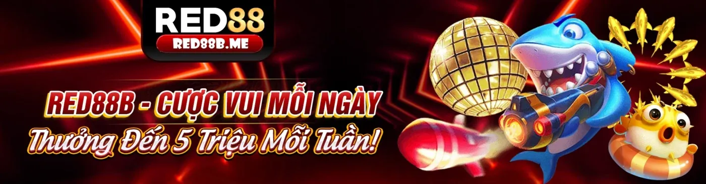 Tin Tức 8us Chính Thức 2026 - Nền Tảng Giải Trí & Cá Cược Hấp Dẫn